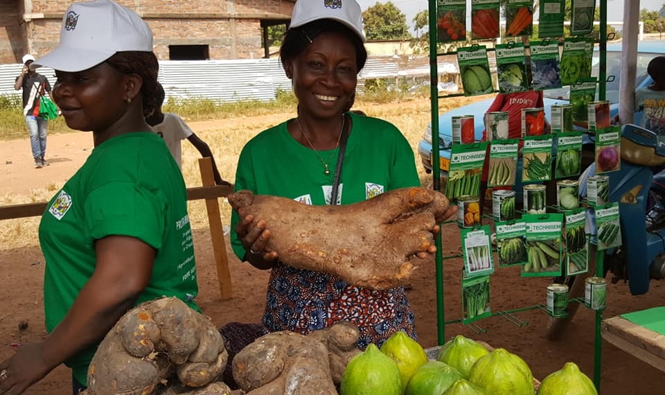 La 3ème édition de la Foire Apicole a pris fin à Bangui