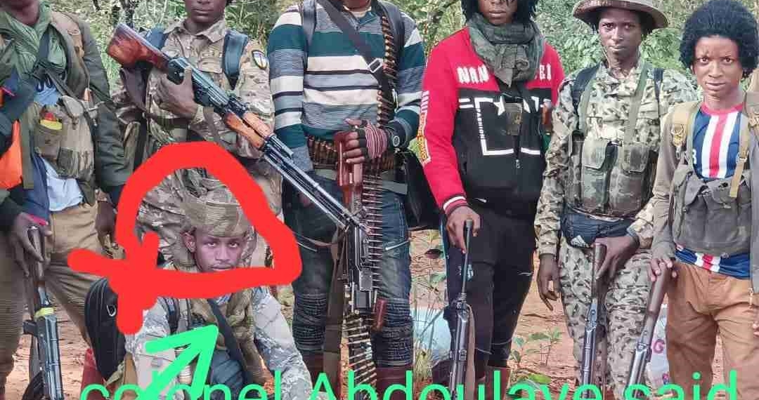 Les accords de sécurité entre la RCA et le Tchad, conclus grâce à la médiation d&rsquo;instructeurs Russes, portent leurs premiers résultats