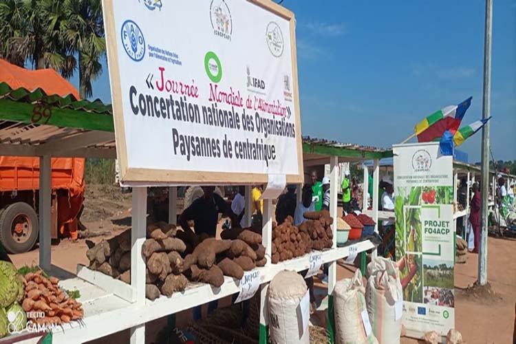 Les préparatifs relatifs à la célébration de la JMA à Kaga-Bandoro vont bon train