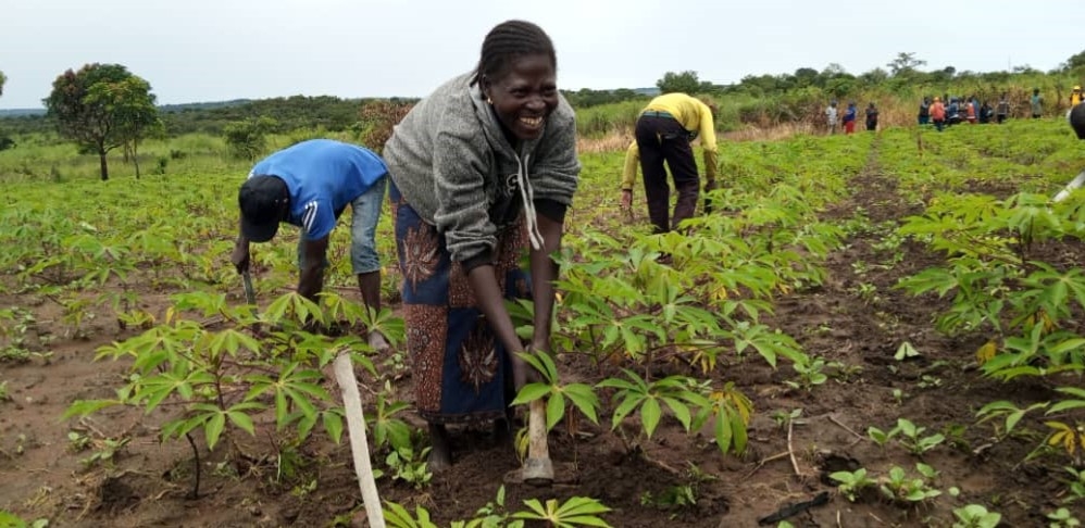 4 millions d’Euros, soit 2 milliards 700 millions de FCFA pour appuyer les groupements agro-pastoraux de 4 préfectures de la RCA