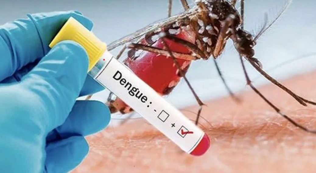 L’épidémie de dengue est déclarée en République centrafricaine