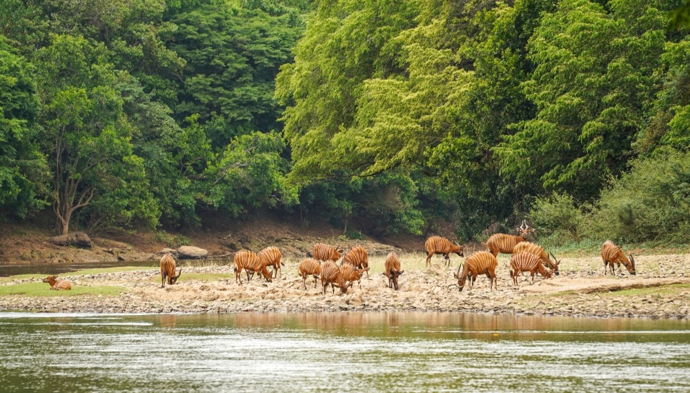 Chinko : Le torchon brûle-t-il entre le ministre des Eaux et Forêt Gervais Mbata et le Sultan de Rafaï Joseph Hetman-El-Roosalem ?