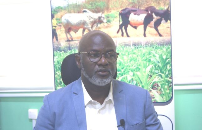 Le Président Touadéra recommande des actions judiciaires en vue de faire la lumière sur les manquements constatés dans le projet «PRAPAM»