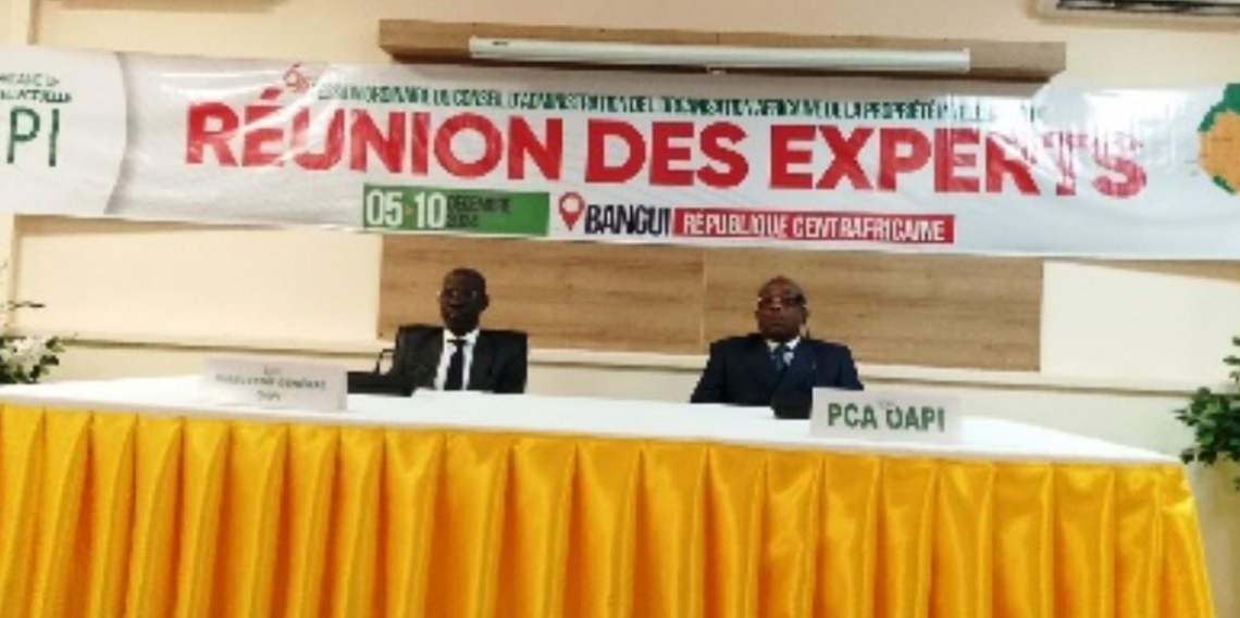 Bangui habite la réunion des Experts de l’OAPI avant la 64ème session du Conseil d’Administration
