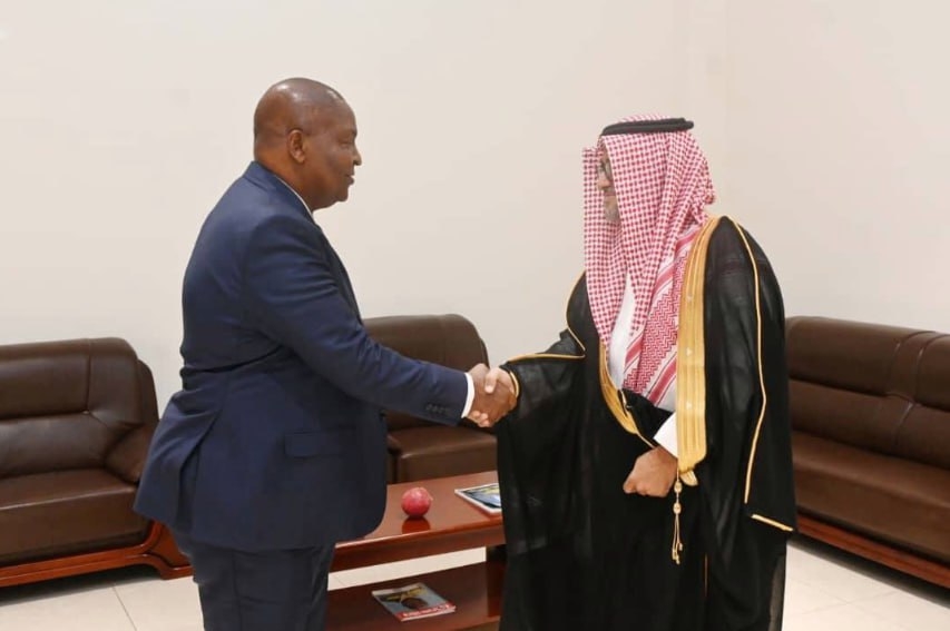 Le Président Touadéra a échangé avec Hani Hasan Abu Zeid Président du Conseil Supérieur de l’Economie Arabo-Africaine