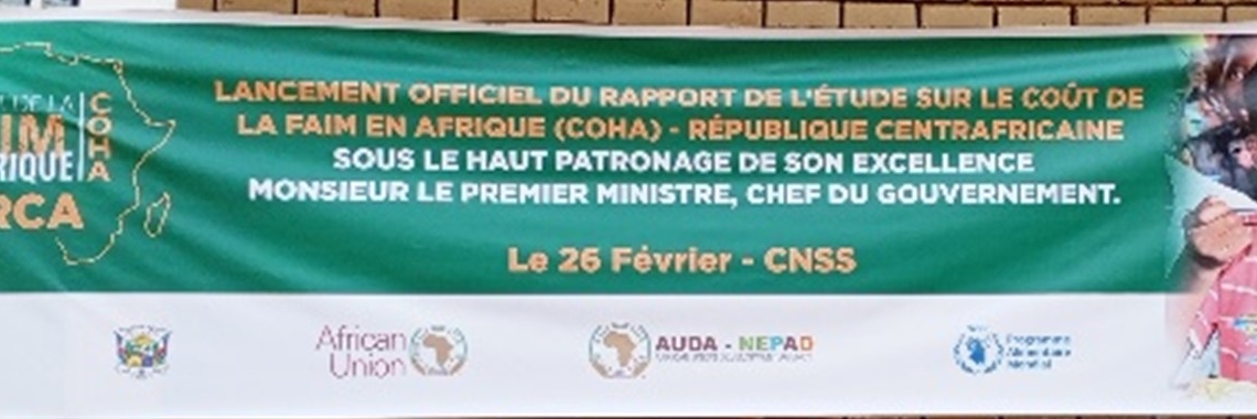 Le gouvernement centrafricain se préoccupe des personnes atteintes de malnutritions