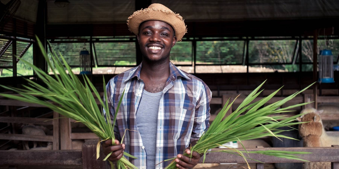 En Centrafrique le Projet d’Investissement, de Compétitivité des Entreprises et de l’Emploi (I-COMPETE)