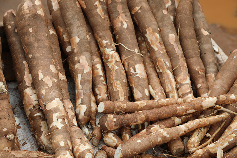 Des Banguissois appellent à la vigilance de ministère du Commerce au sujet de la hausse de prix des denrées alimentaires