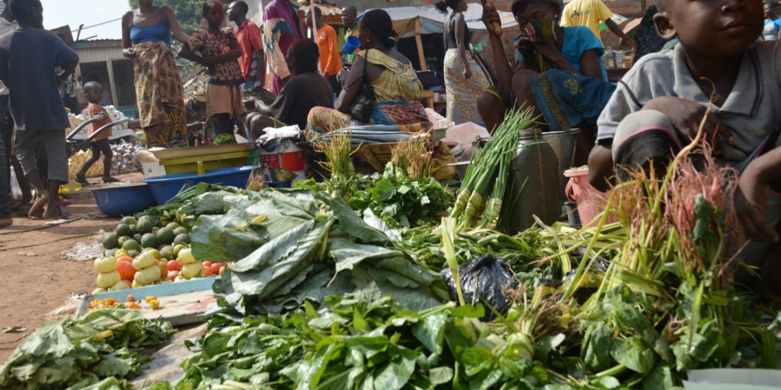 Vers la règlementation de secteur du commerce en Centrafrique