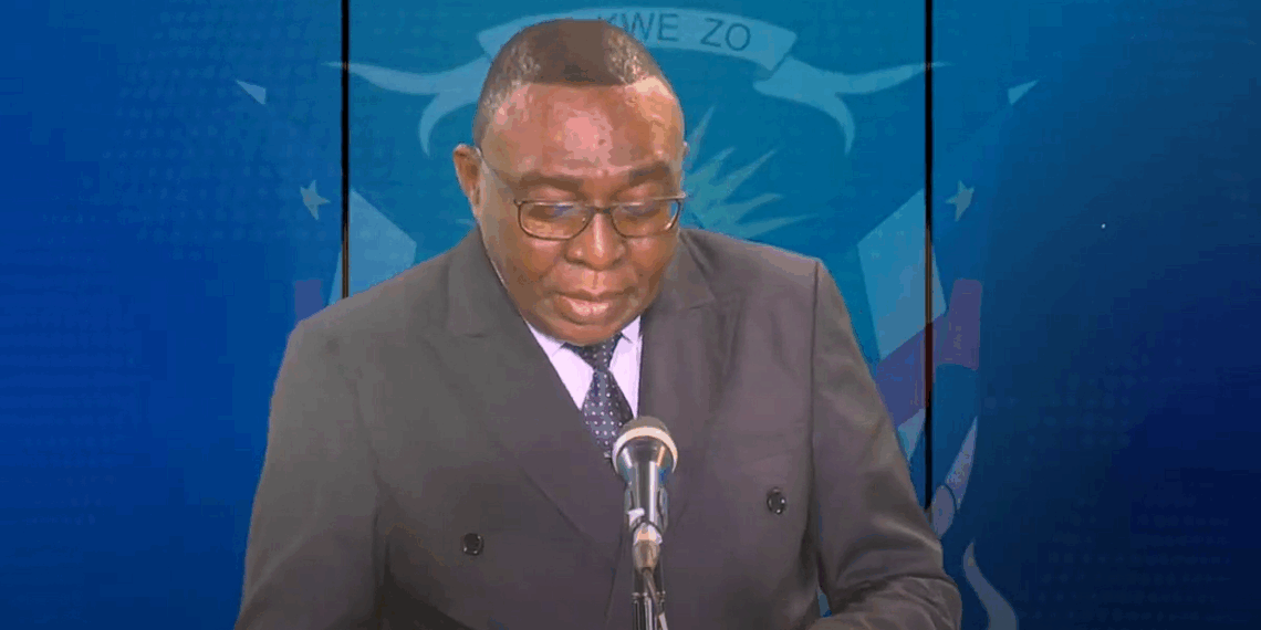 Le gouvernement centrafricain dresse un bilan satisfaisant du processus de désarmement des groupes armés en cours 