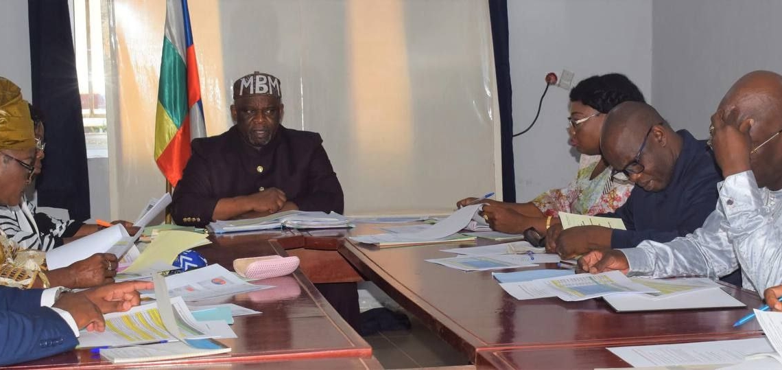 La Fédération de la Russie s’engage à soutenir le processus électoral en cours en Centrafrique