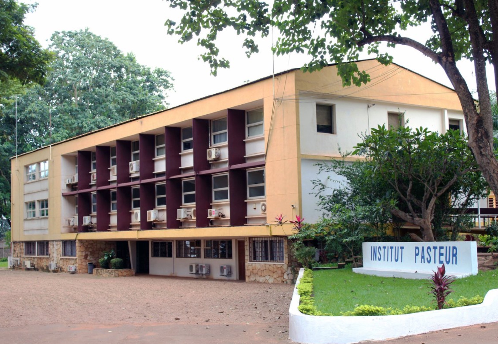 L’Institut Pasteur alerte : 85% des antibiotiques ne soignent plus !