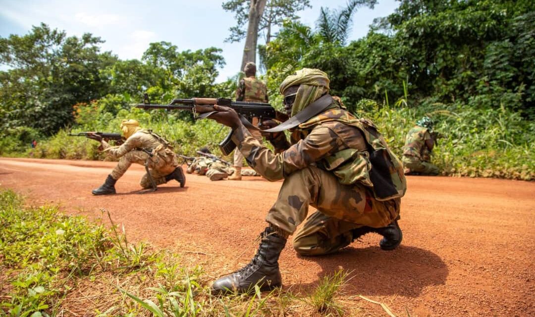 Affaire accrochage avec un groupe armé à la frontière avec le Soudan : le ministère centrafricain de la Défense réagit