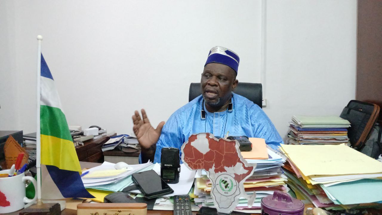 ANE : PNUD et MINUSCA, quels rôles pour les élections ?