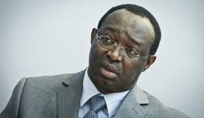 Le Conseil Constitutionnel rejette la requête du candidat Anicet Georges qui demande le report des élections