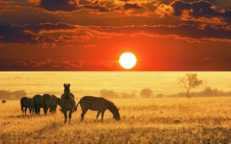 Avec le Président Touadéra, l’Art, la Culture et le Tourisme centrafricain redorent son blason