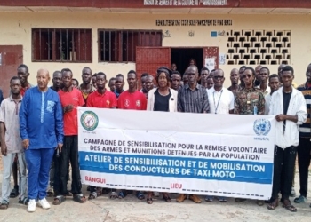 Les responsables des scouts de la RCA renforcent leurs capacités sur une thématique post-électorale