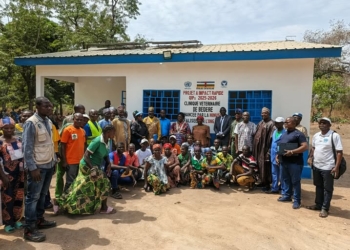 Les femmes du ministère de l’Élevage et de la Santé Animale se constituent en association pour défendre leurs droits