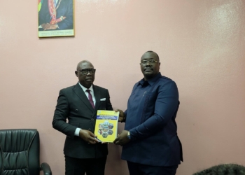 Les entreprises publiques et parapubliques de la RCA doivent soutenir l’Etat à travers le versement de dividendes au Trésor Public !