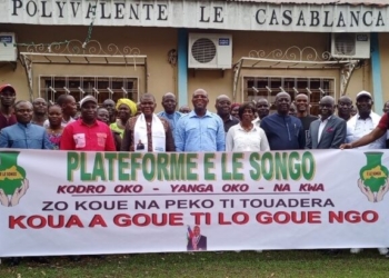 Majorité présidentielle : la plateforme Elesongo salue les nouvelles institutions de la 7e République