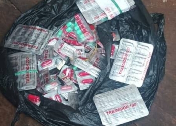 Les instructeurs russes et la gendarmerie de Bangui ont porté un coup au trafic illicite de drogue et à la contrebande.