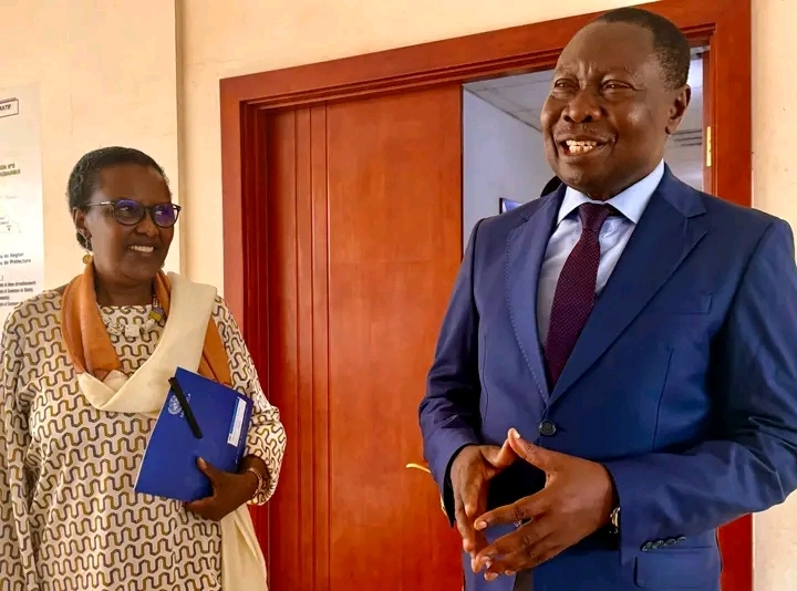 La MINUSCA réaffirme son soutien à l’installation des organes élus locaux sur l’ensemble du territoire centrafricain