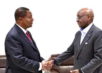 Séminaire Gouvernemental : échange fructueux et constructif entre le Président Touadéra et Dr Donald Kaberuka
