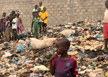 Journée Mondiale de l’Environnement : la RCA met en avant les efforts du gouvernement pour un développement durable