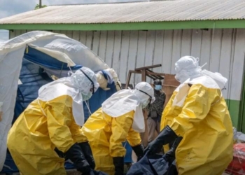 Choléra et Ebola : les autorités sanitaires rassurent et renforcent la surveillance aux frontières