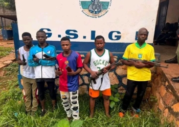 La gendarmerie démantèle un réseau de braqueurs à Bangui
