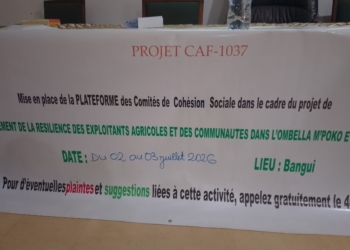 Le ministère centrafricain de l’Action Humanitaire et l’ONG «WHH» lancent une plateforme des comités constructifs pour renforcer la cohésion sociale