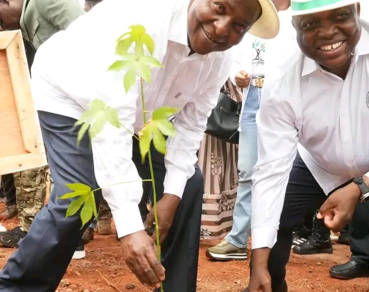 55.550 arbres plantés : Touadéra fait du reboisement un impératif national en Centrafrique