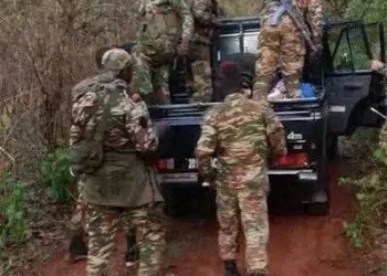 La Cheffe de village Gbokila 1 salue le renforcement des patrouilles des FACA et alliés russes dans sa localité