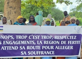 Affaire réhabilitation des axes Ndélé-Oudda et Mbrès-Ndélé : le gouvernement centrafricain accuse l’UNOPS pour blocage des travaux