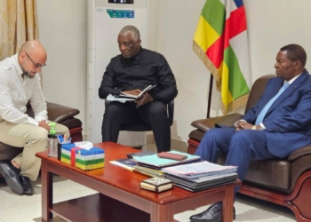 Le Président Touadéra reçoit une délégation Suisse à Bangui