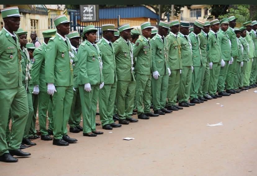 Le gouvernement centrafricain opérationnalise de la police environnementale