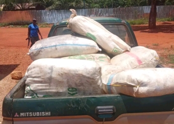 Bégoua : plus de 10 sacs de boissons frelatées saisis au pk 12