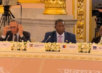 Sommet Russie-Afrique : Touadéra mise sur la transformation locale et les investissements productifs